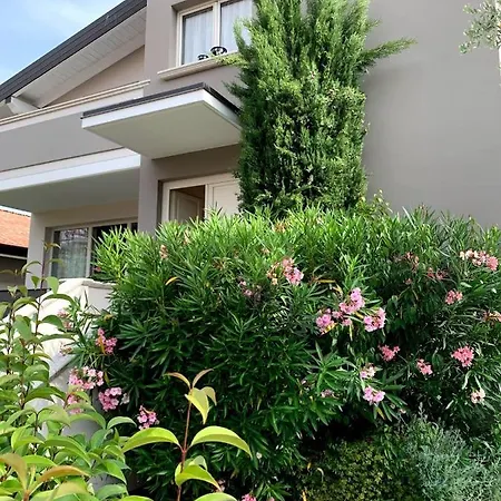 Lady Apartment